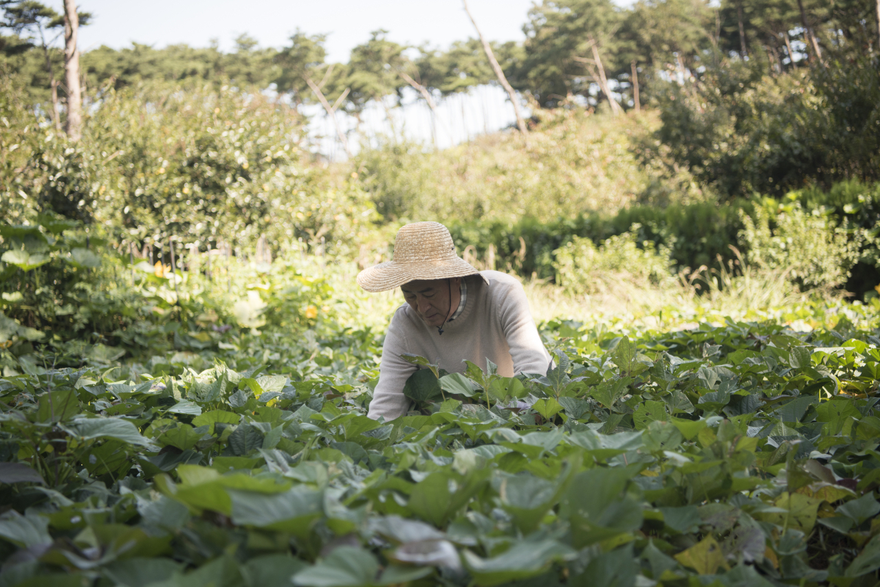 웰빙헬스 이미지