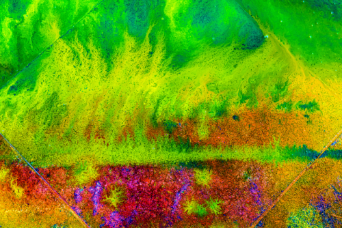 빛그림 회원전 오는 20일까지 '엔타 원스퀘어홀' - 뉴스 썸네일 이미지