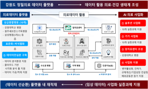 강원특별자치도, '정밀 데이터 활용 의료·건강 생태계 조성사업' 2단... - 뉴스 썸네일 이미지