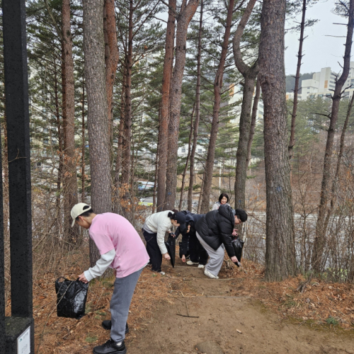 [포토뉴스]NH농협 태백시지부 3·1절 맞이 건강플로깅 - 뉴스 썸네일 이미지