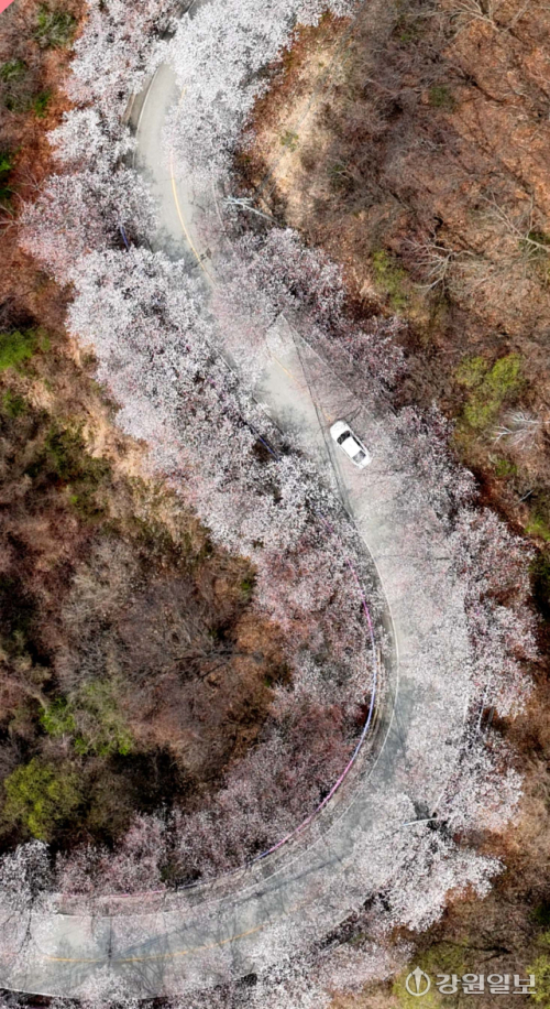 "지역 관광에 봄 기운 활짝"...문체부·관광공사, '여행가는 봄' 캠페인 - 뉴스 썸네일 이미지