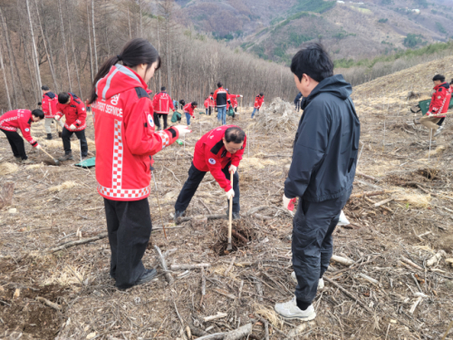 [포토뉴스]태백국유림관리소 나무심기행사 개최 - 뉴스 썸네일 이미지