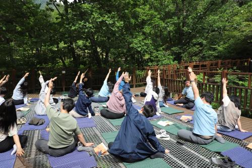 숲속으로 떠나는 인문여행⋯춘천숲체원 북토크 성료 - 뉴스 썸네일 이미지