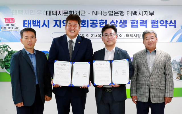 태백문화재단 이미지