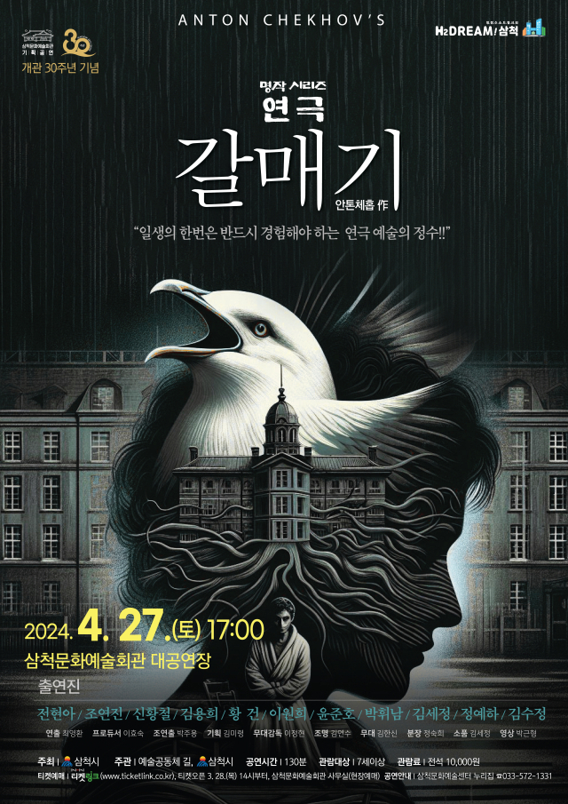 청춘갈매기 이미지