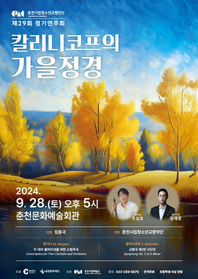 춘천청소년교향악단 이미지